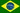 Brasileiro-Português